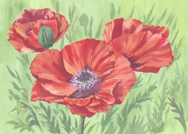 Рисунки гуашью цветы