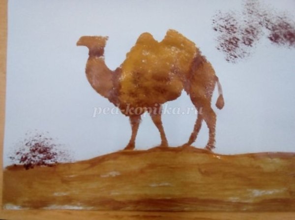 Верблюд для плаката