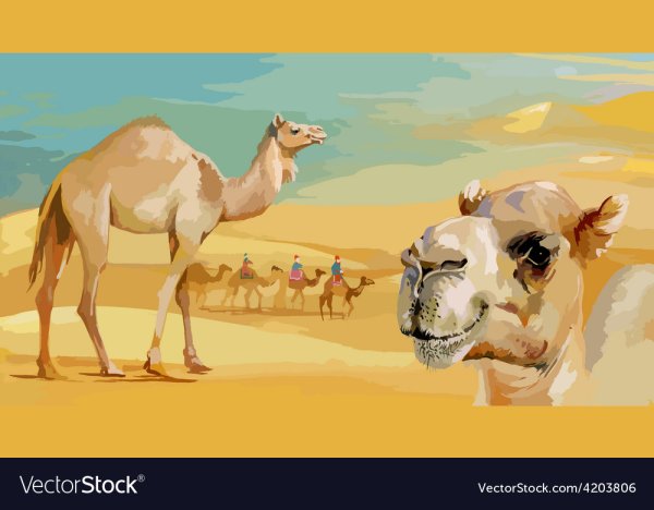 Верблюд красками