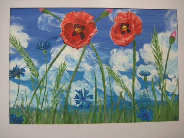 Маки рисунок гуашью