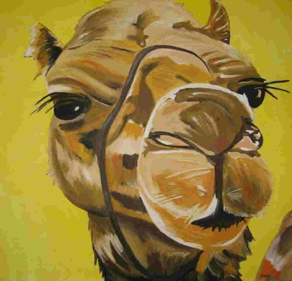 Верблюд рисунок цветной