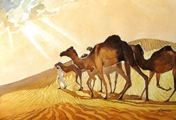 Верблюды в абстрактной живописи