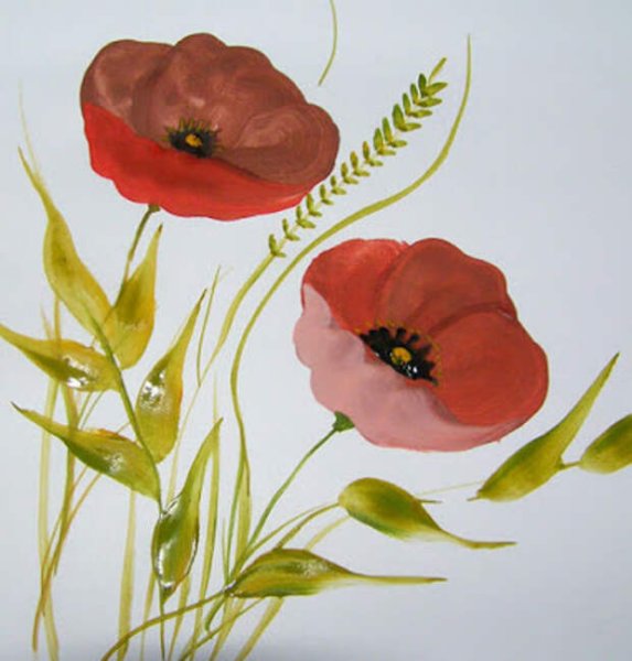 Нарисова полевой Мак