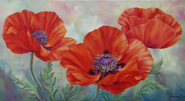 Пионы Marianne Broome