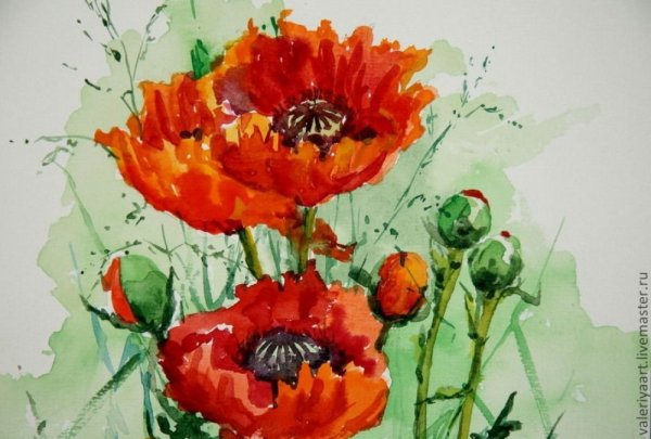 Мак красками