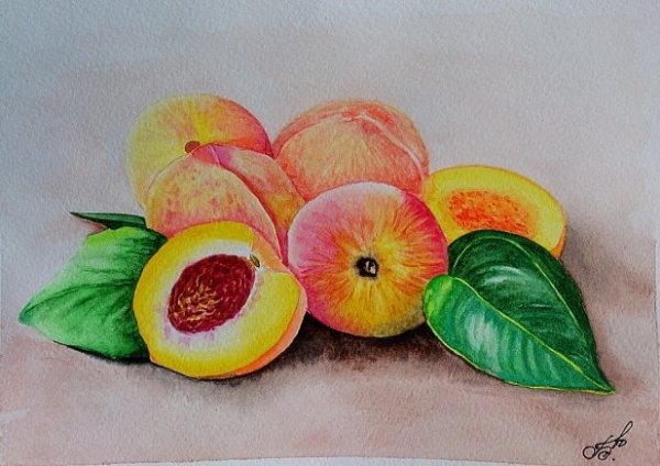 Персик цветными карандашами