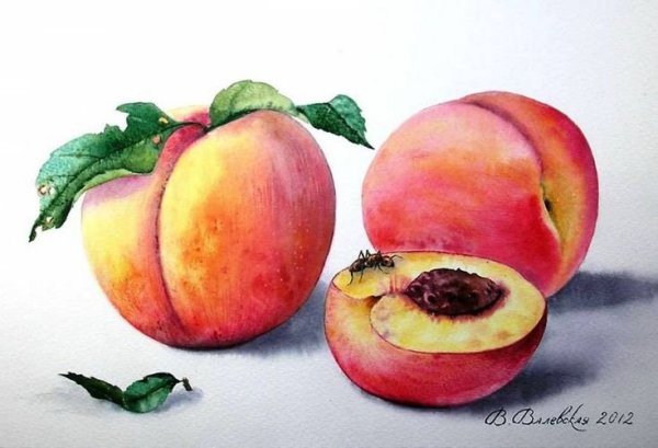Персик гуашью