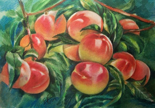 Персик акварелью