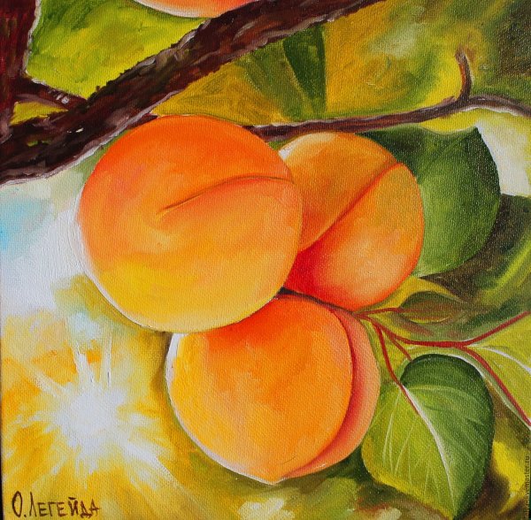 Абрикос akril