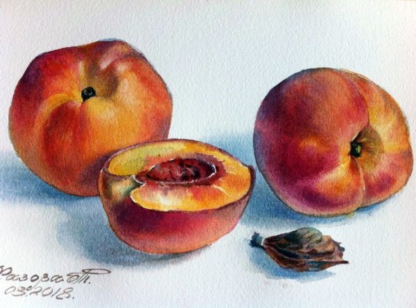 Персик акварелью