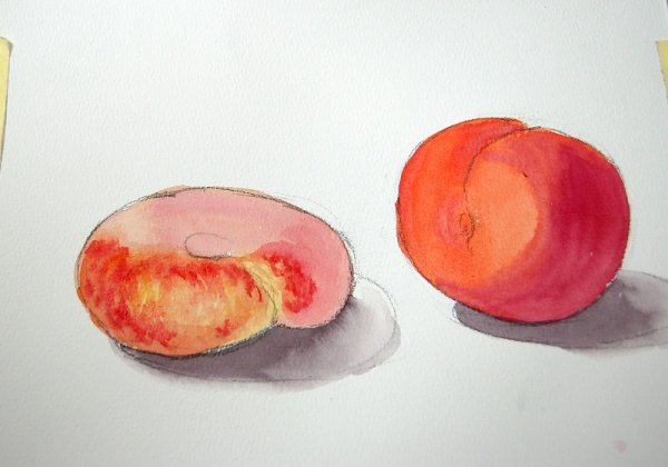 Пошаговое рисование персика