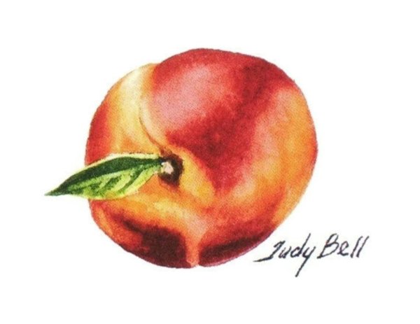 Нектарин акварелью