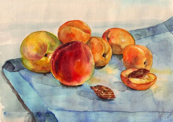 Натюрморт с фруктами акварелью