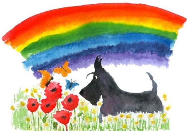 Радужный закат красками