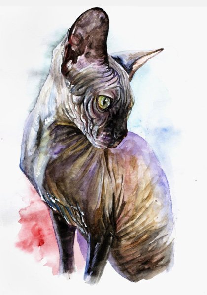 Сфинкс рисунок