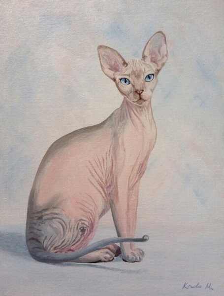 Живопись акрилом кот сфинкс