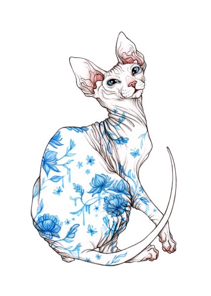 Сфинкс кошка