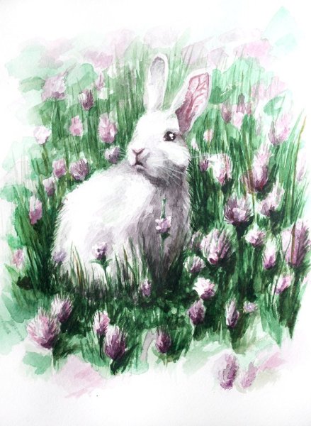 Кролик гуашью