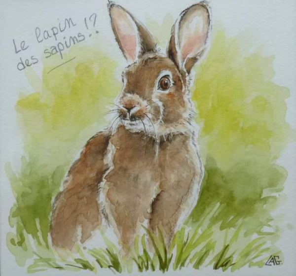 Заяц гуашью