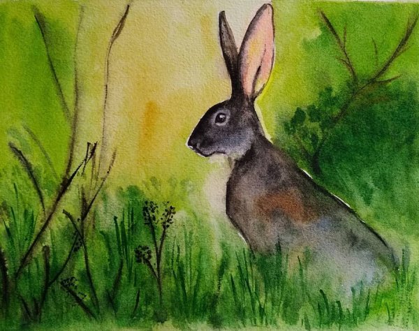 Заяц акварель гуашь