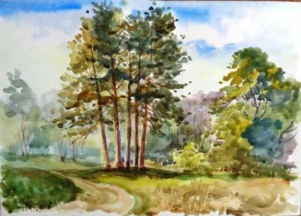 Сосновый Бор акварель