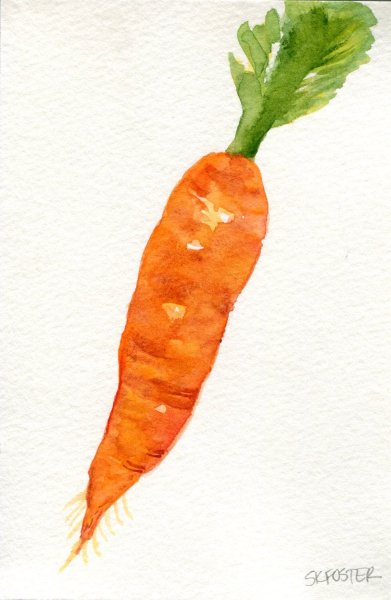 Морковь для рисования