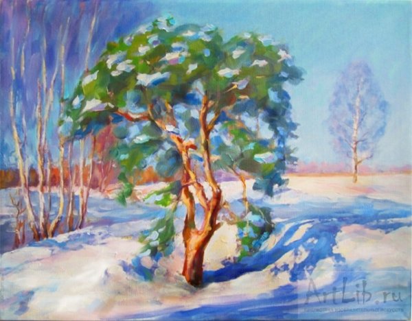 Зимняя сосна рисунок