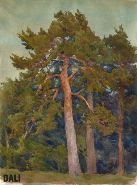 Сосна акварелью