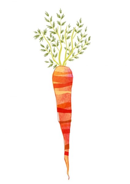 Акварельная морковка
