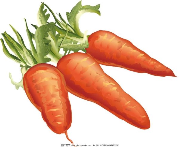 Морковка для дошкольников