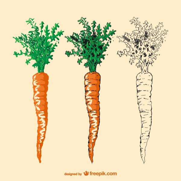 Морковь Графика