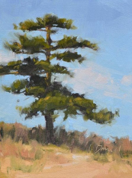 Сосна акрилом