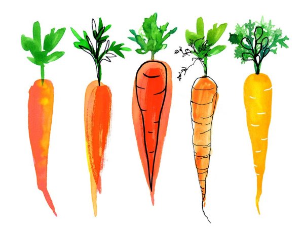 Морковка скетч