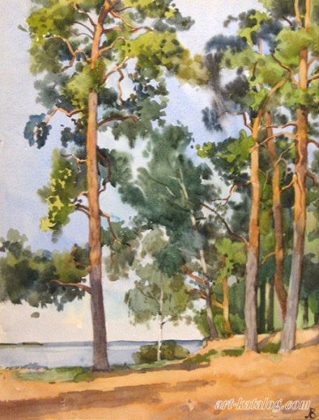 Акварельный Этюд Сосновый Бор