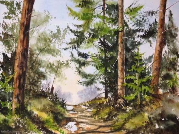 Лес акварелью