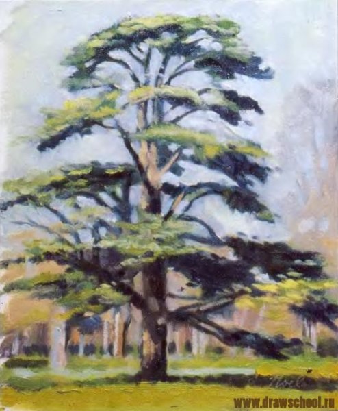 Ливанский кедр в живописи