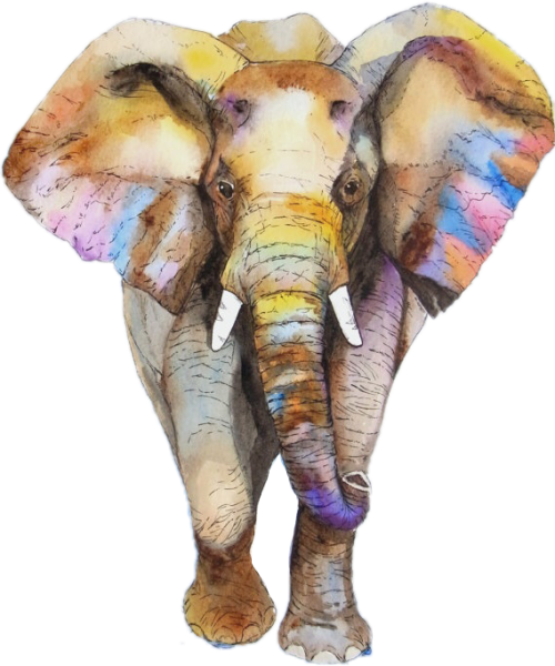 Слон красками