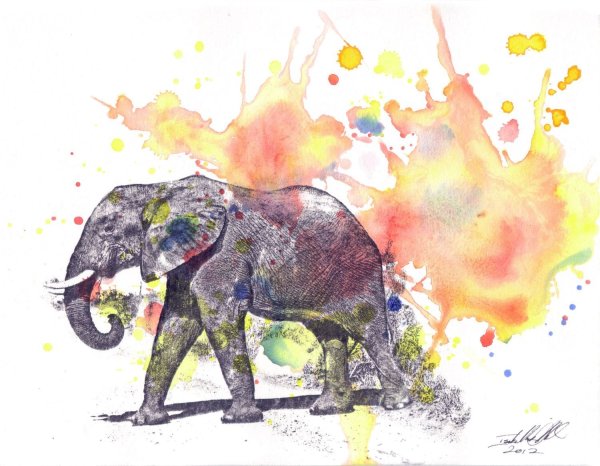 Слон красками