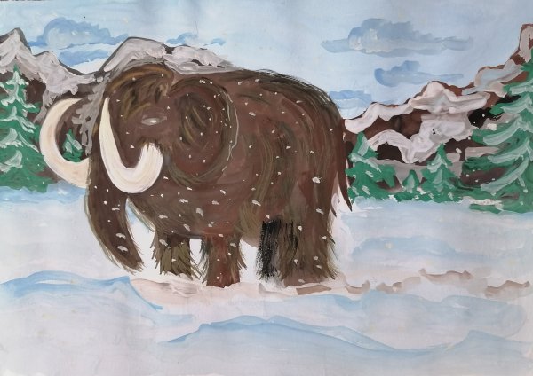 Рисование на тему животные Арктики