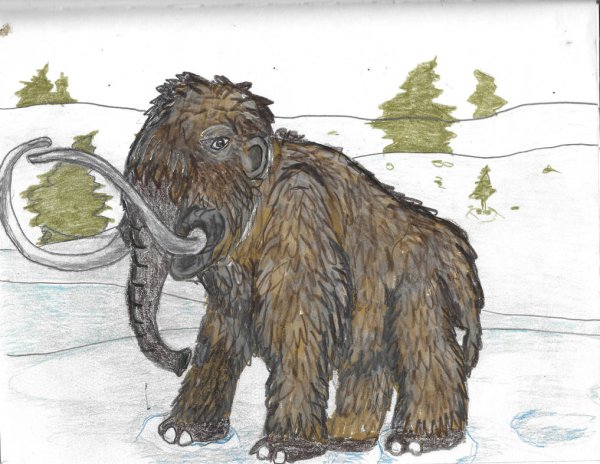 Мастодонт и мамонт