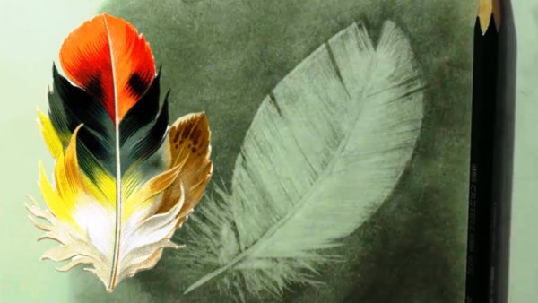 Перо гуашью