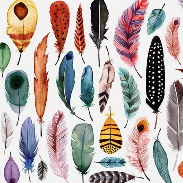 Яркий рисунок перо