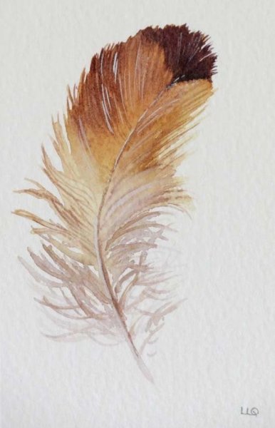 Перо для рисования акварелью