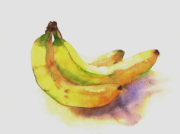 Этюд банана акварелью