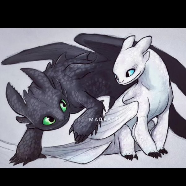 Беззубика и дневную фурию