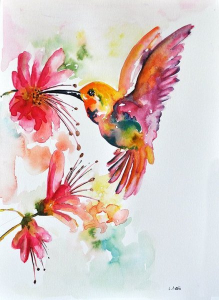 Акварельные птицы