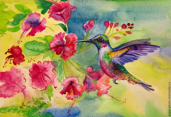 Колибри гуашью