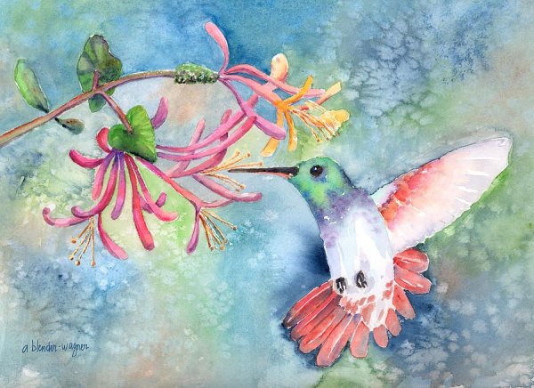 Колибри гуашью