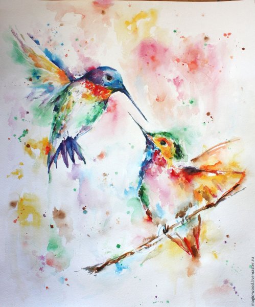 Яркие рисунки акварелью