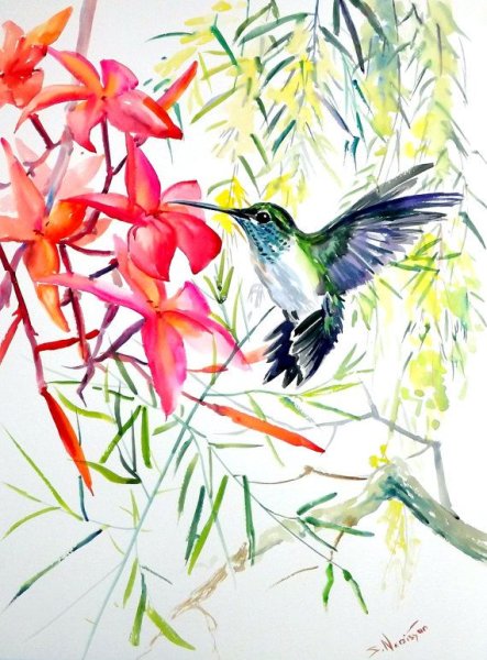 Колибри рисунок гуашью